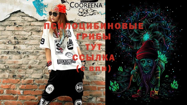 амф Алексин